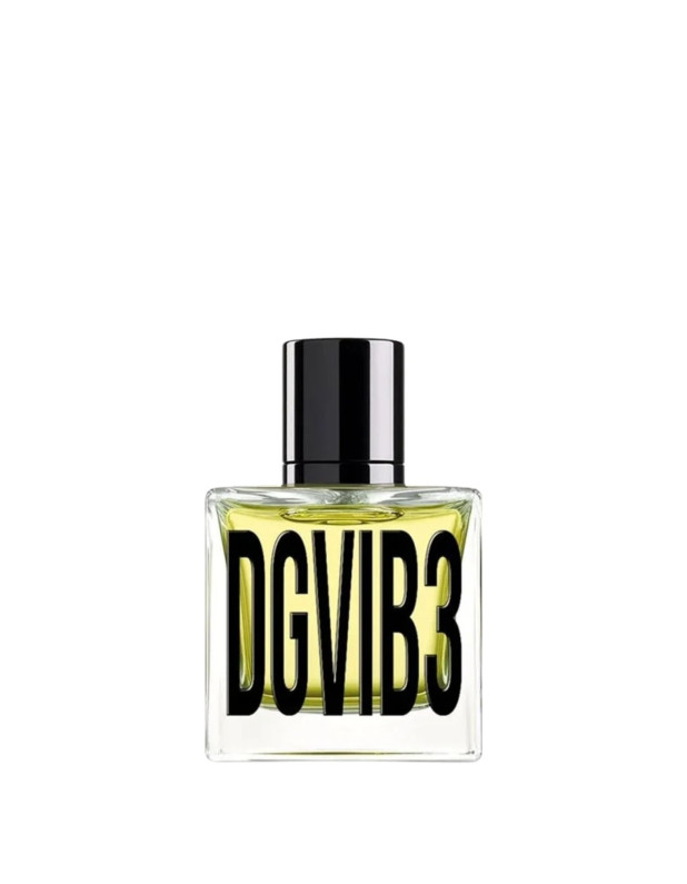 DGVIB3 Edp